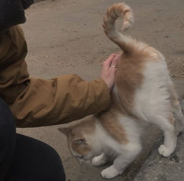 пов : свидание с чанбином ⭐