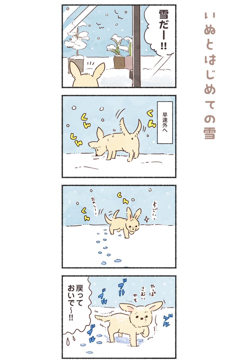 いぬとはじめての雪⛄️ 