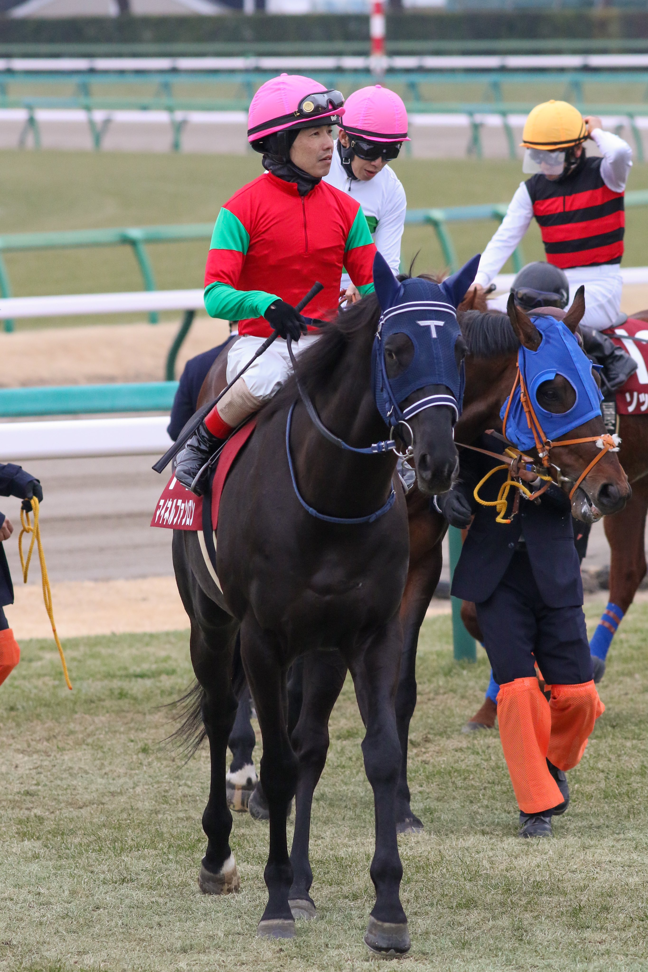 横山チリ子 ファンロンくんも相変わらず可愛い 真っ黒でお目目ぱちくりしてて 新馬戦からファンロンのファン マイネルファンロン 松岡正海 Ajcc T Co Upmw6pupjg Twitter