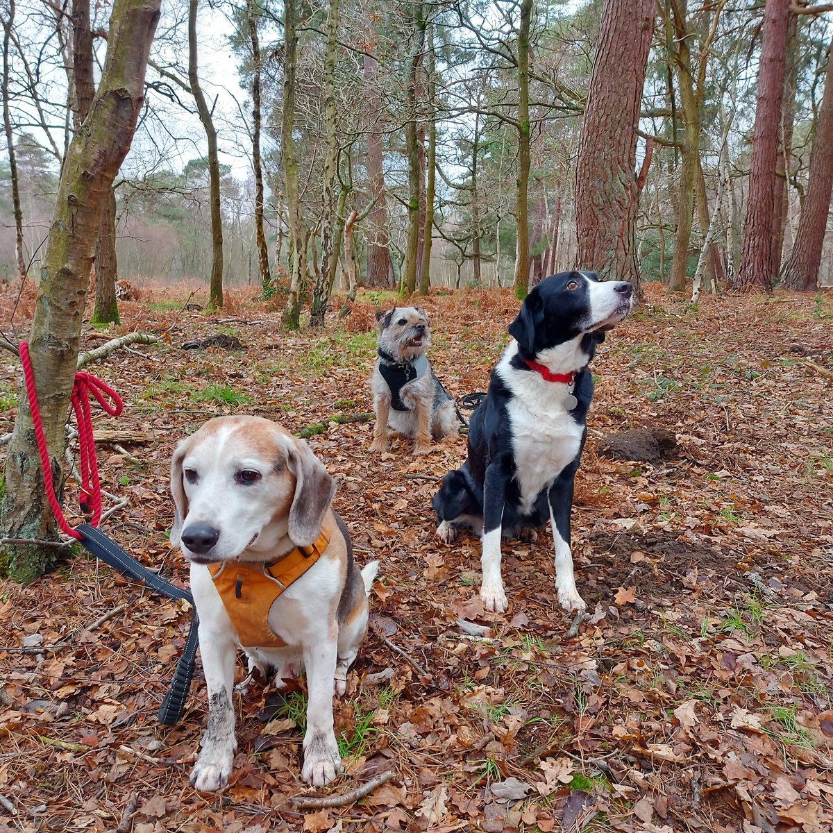 BarneyBooBT's tweet image. I love meeting up with my friends 💜 

#BTPosse