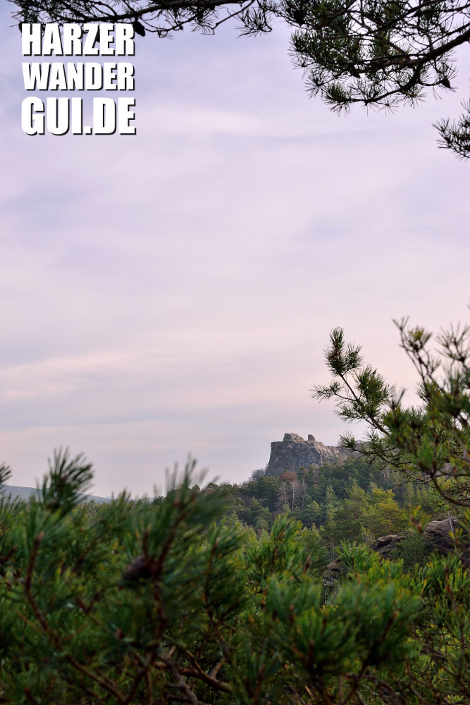 Ein schöner Blick auf die #BurgruineRegenstein - bei #Blankenburg vom Großen Papenberg. Von hier haben damals die Franzosen die preußische Festung mit Kanonen beschossen. Einen schönen Sonntag euch allen!