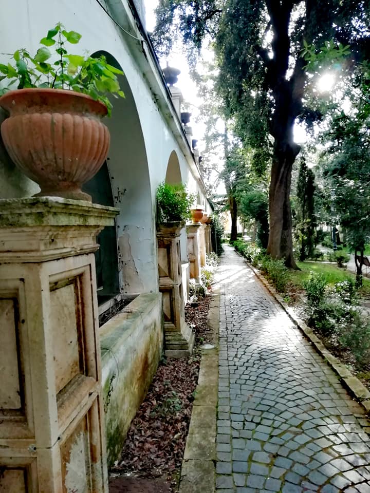 visitmartina's tweet photo. Buongiorno e buona domenica 🌼
Una passeggiata in Villa Garibaldi?🌳
La villa è un bene di interesse storico di Martina Franca e fino al 1960 uno dei più interessanti giardini realizzati con la tecnica dell'ars topiaria. Oggi, un bellissimo giardino all'italiana.
 #weareinpuglia https://t.co/mr3hnfwyoW