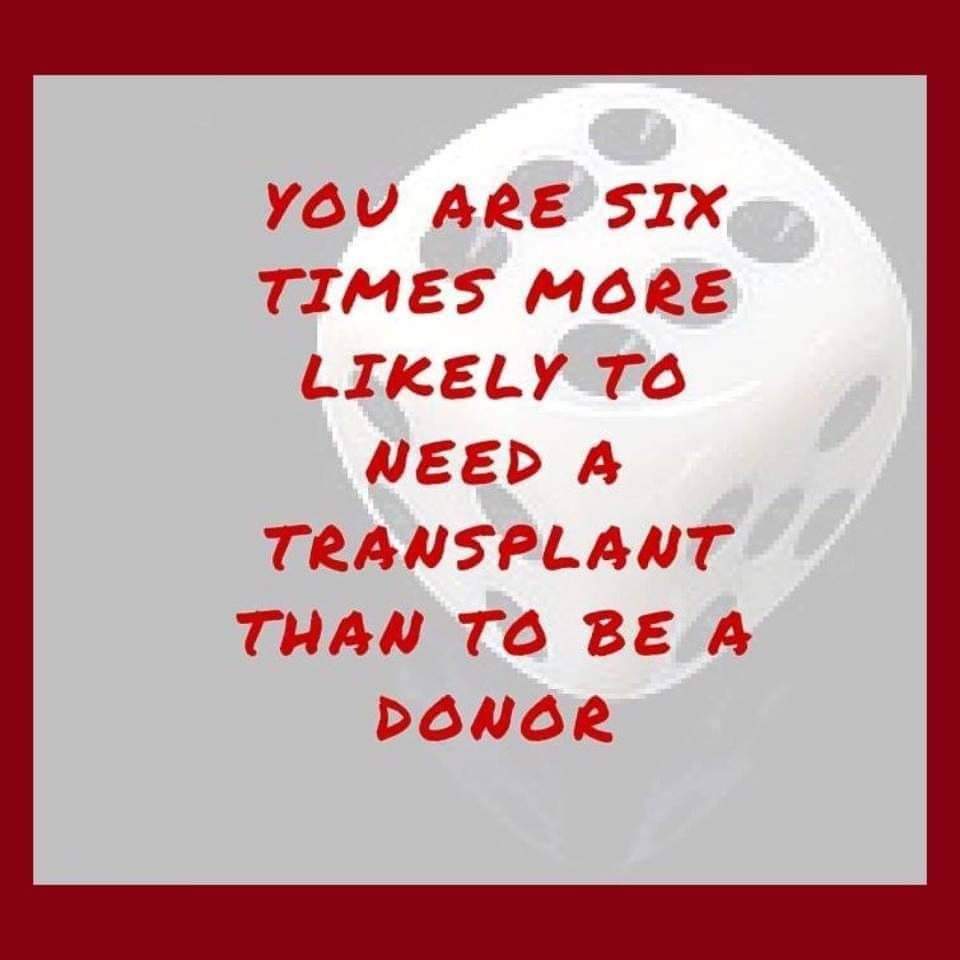 jan_lockett's tweet photo. https://t.co/45FOlzfg1Q