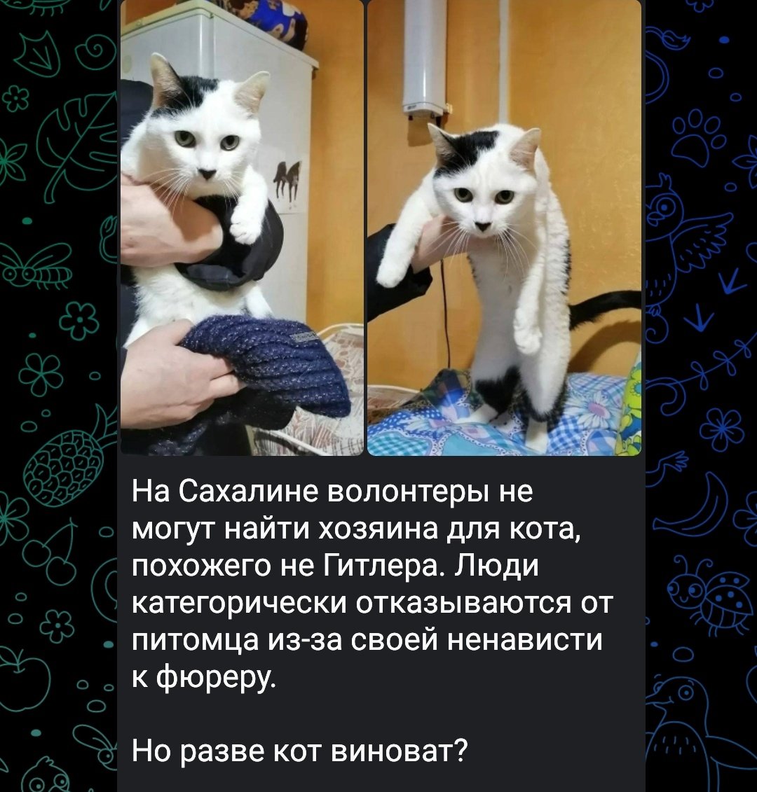 Люди - хуй на блюде.
Я бы забрала его, если бы не Кнопа