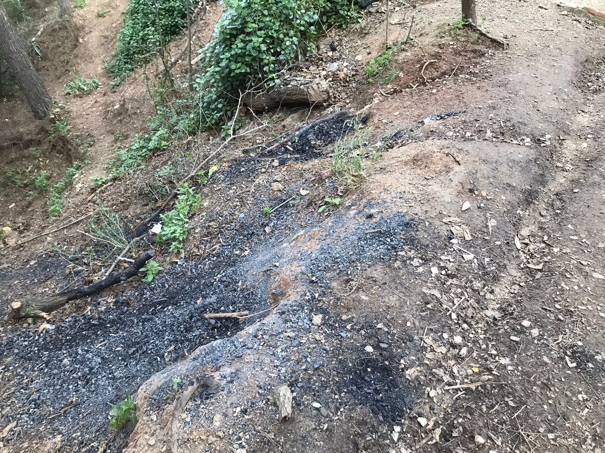 victor_run's tweet photo. Font de Santa Eulàlia de Collserola.
Així estava aquest matí, amb el perill de incendi. Prou botellons.@bcn_ajuntament @parcncollserola https://t.co/UnDSKfPu7w