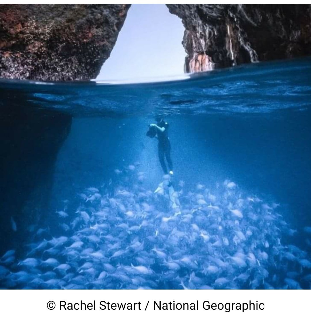 Самые удивительные фотографии National Geographic