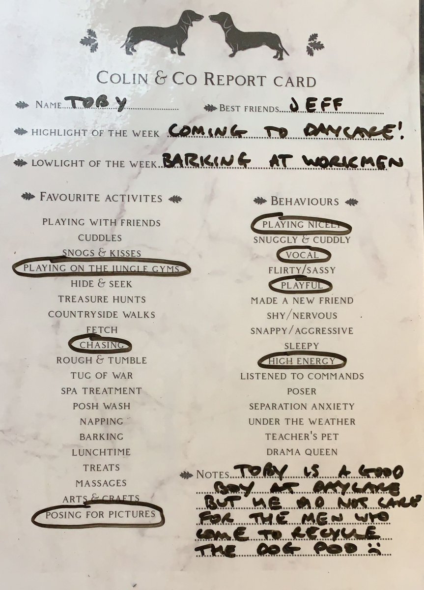 So I've raised a feminist. 
Heckling the workmen at Daycare...