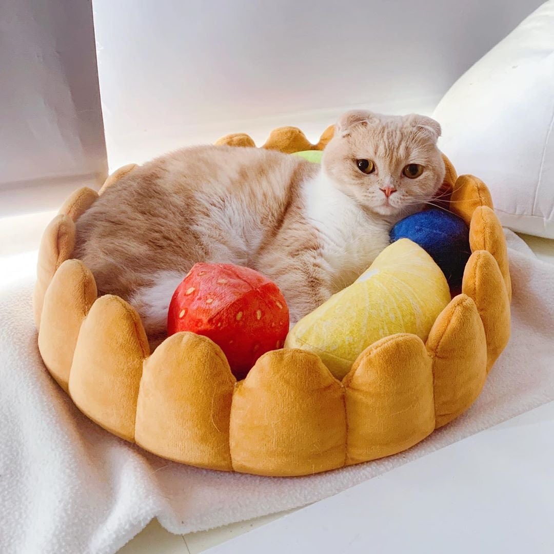 pie cat bed