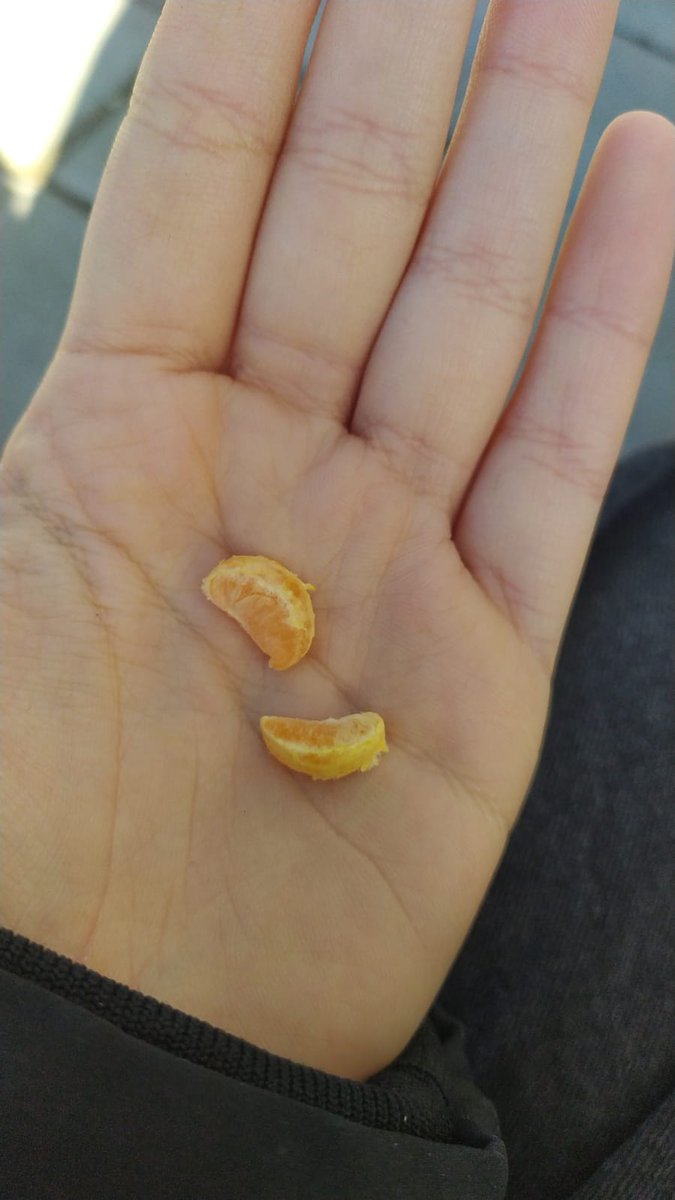 Aitanitagv's tweet photo. Mi madre: Andrea tienes que comer fruta
@3Andreagv a mi madre, mama yo me como 5 mandarinas al día.
Las mandarinas: https://t.co/VkB3f5zpgN
