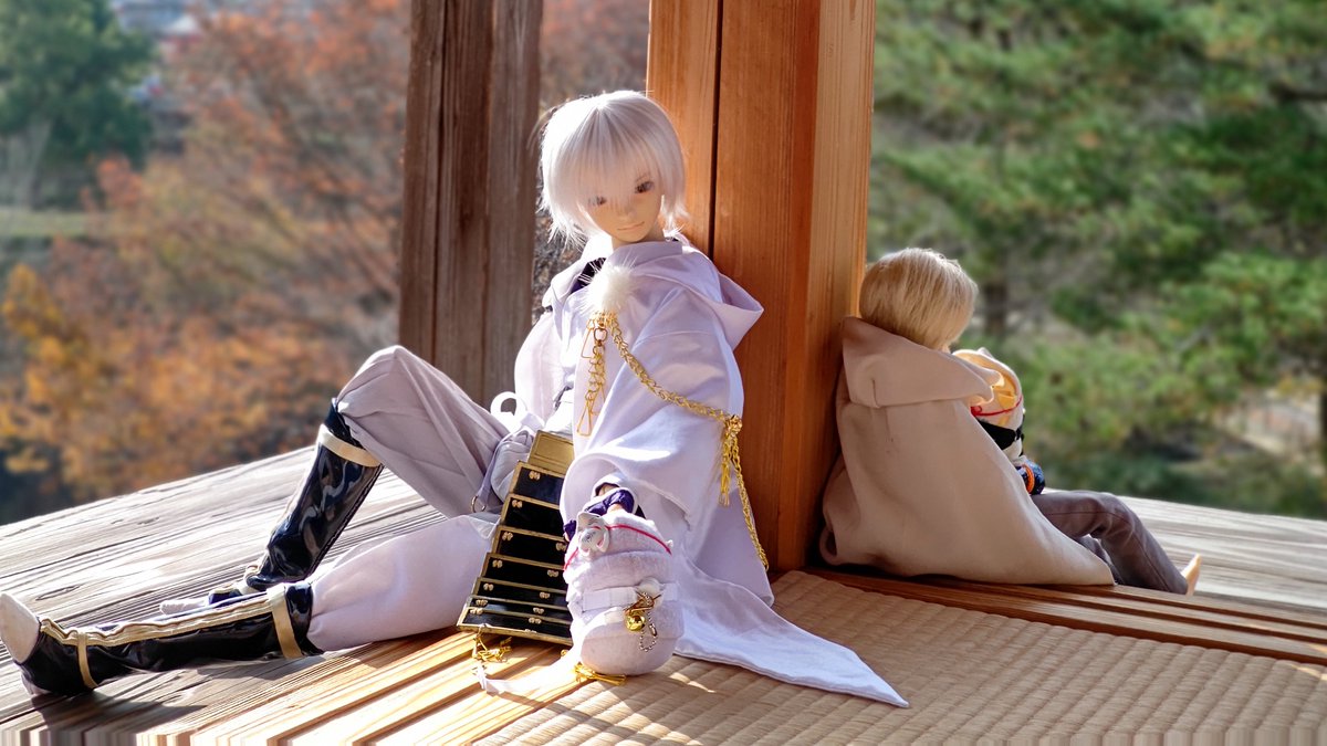 クロ＠ドール万歳 tweet media