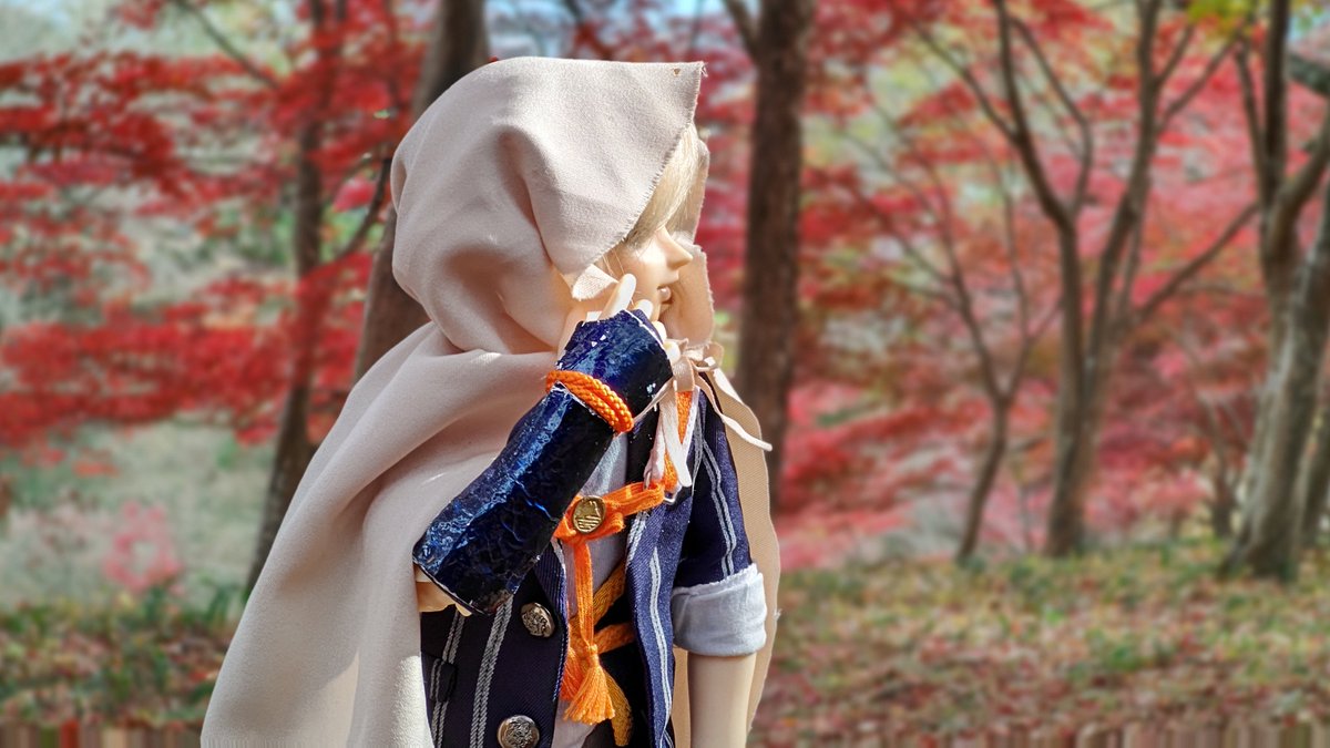 クロ＠ドール万歳 tweet media