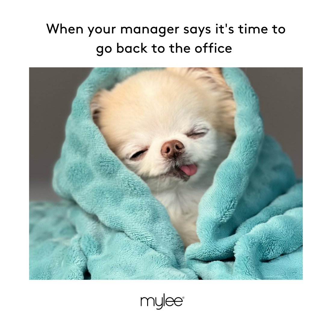 myleebeauty on Twitter: myleebeauty on Twitter: