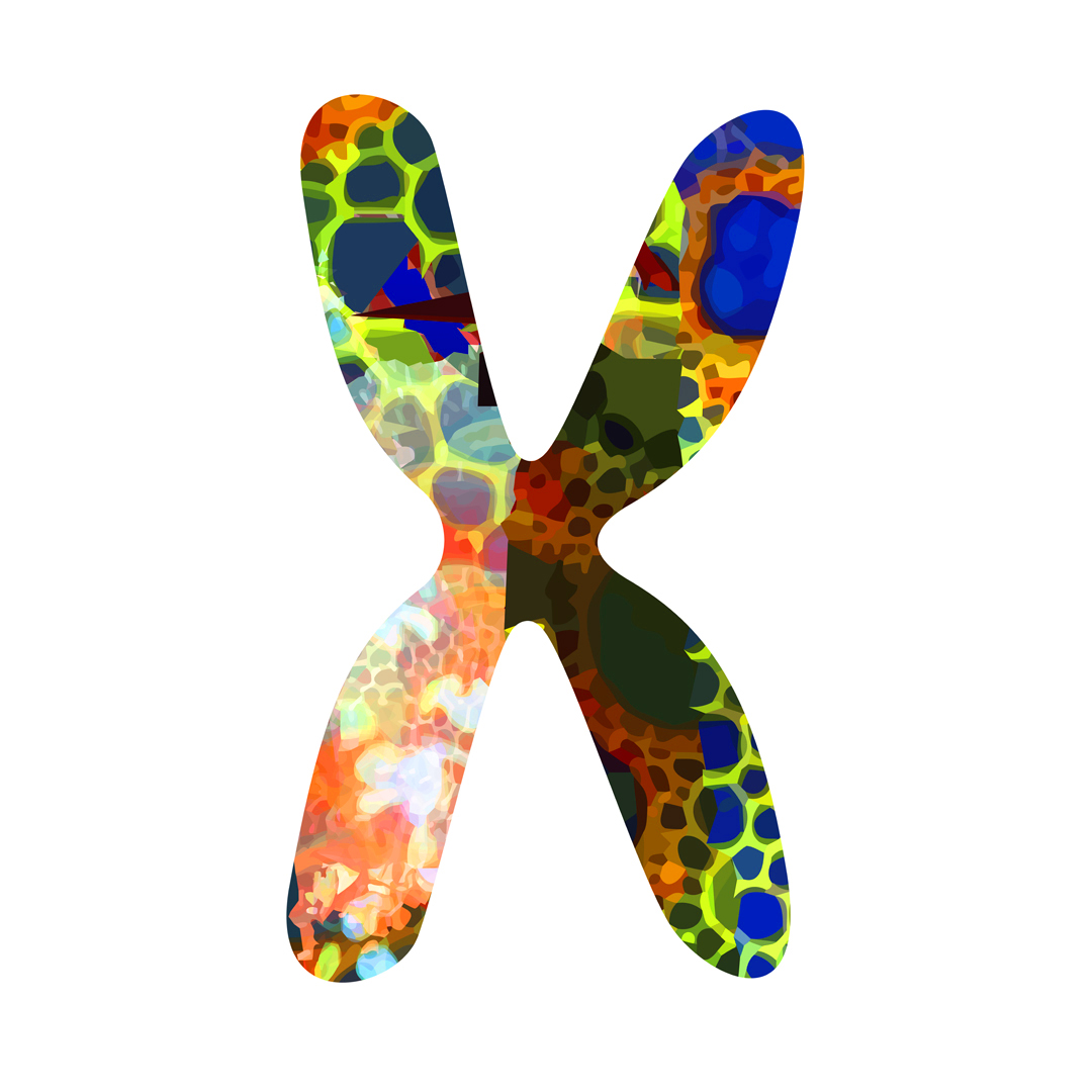 phenochroma's tweet photo. Phenochroma #86

#evolution #unique #inprogress #life #together #love #science  #art #human #artgram #unity #oneofakind #singular #different #perfect #visual #color #colors #print #printdesign #nft #nftcollector #artcollector #collectible #collection https://t.co/fMBGzKkxyg