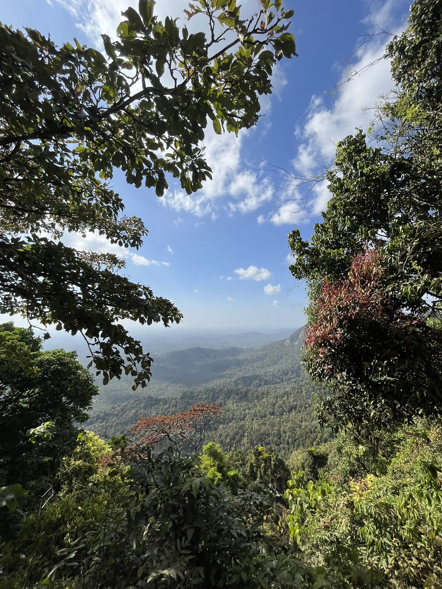 Agumbe
i love Udupi so much🥰🥰🥰 it’s the perfect hometown got beaches got mountains got the sunshine ☀️#udupi #nammaudupi