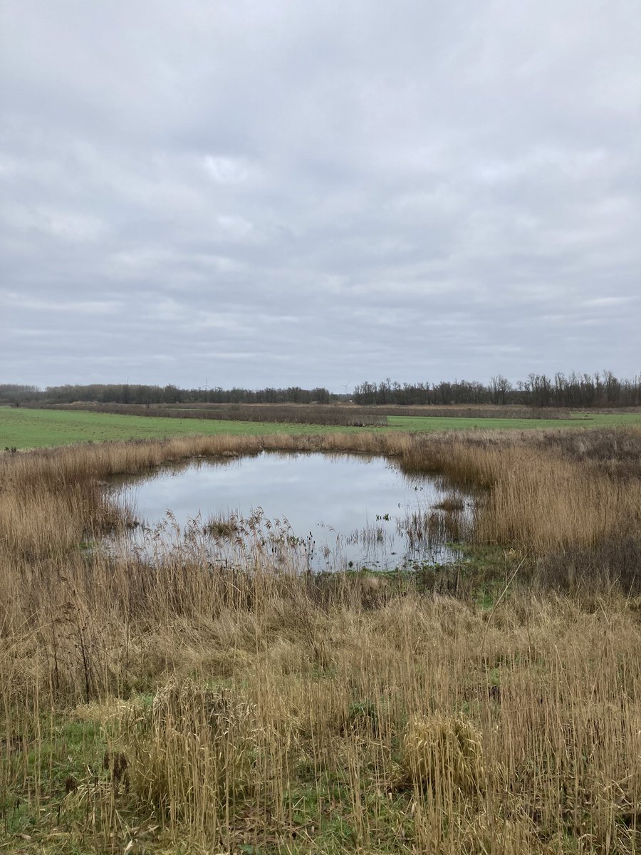 Rondje <a href="/Hajerestaurants/">Hajé Shops, Hotels & Restaurants</a> van de Aalscholver naar de Lepelaar langs de A6, ruim 10 km. Langs de Ooievaarsplas en de Reigersplas. Dank <a href="/flevolandschap/">Het Flevo-landschap</a> voor herstel <a href="/Wandelbankjes/">Wandelbankjes</a> en dank <a href="/gemzeewolde/">Gemeente Zeewolde</a> <a href="/PuurZeewolde/">Puur Zeewolde</a> voor herstel fietspaden