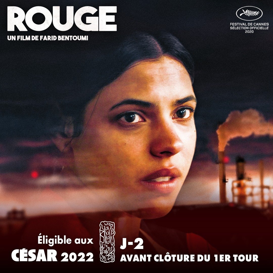 Les films Velvet tweet media