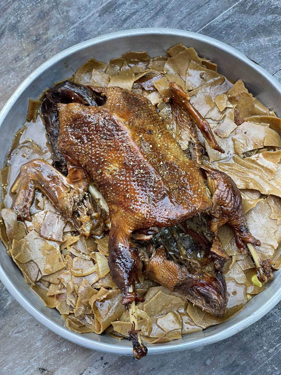 bledar_kola's tweet photo. Winter Duck with our Petka . https://t.co/JtKe6zp3QX