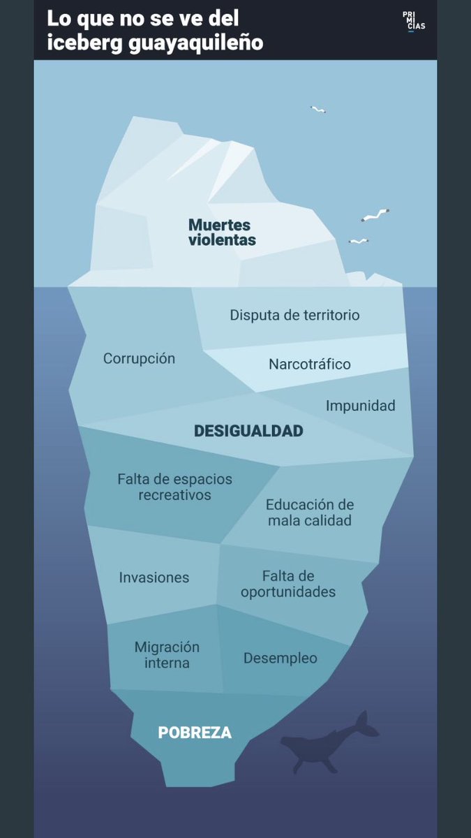 CamilaMaryfuego's tweet photo. Esto es Guayaquil, es un problema histórico de pobreza y desigualdad bárbara. No es un problema de “inseguridad”. https://t.co/Ea3cYy1r5x