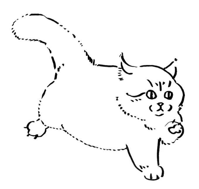 人様のお家のねこちゃん。 