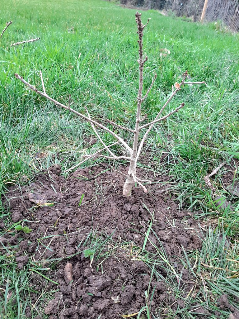 Eileen Cunningham tweet media