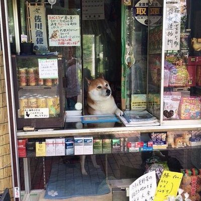 Miss_Huevos's tweet photo. No queda prensa, ninio. Sólo clickbait https://t.co/iJ41RSmyRR