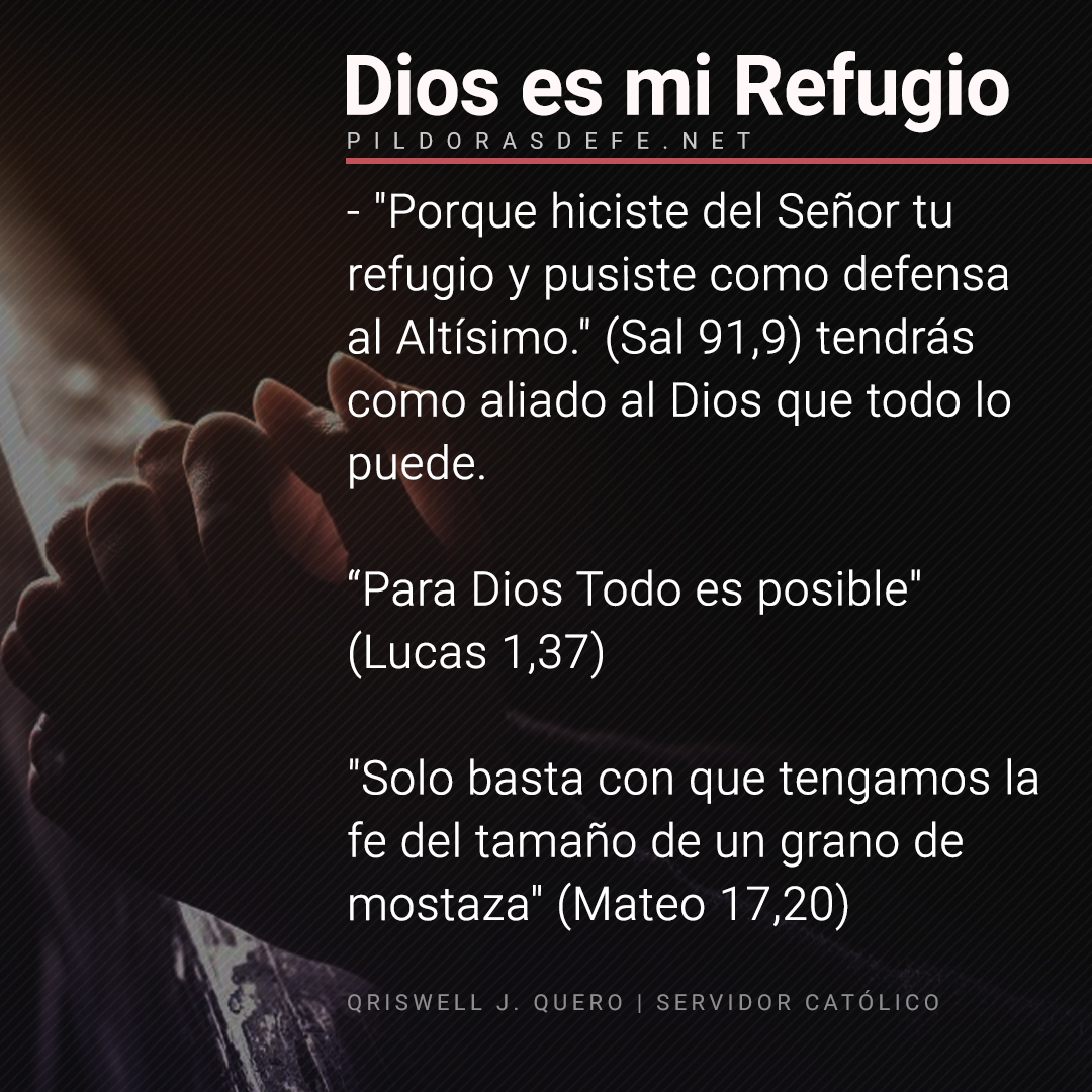 Pildorasdefe (@pildorasdefe) on Twitter photo 