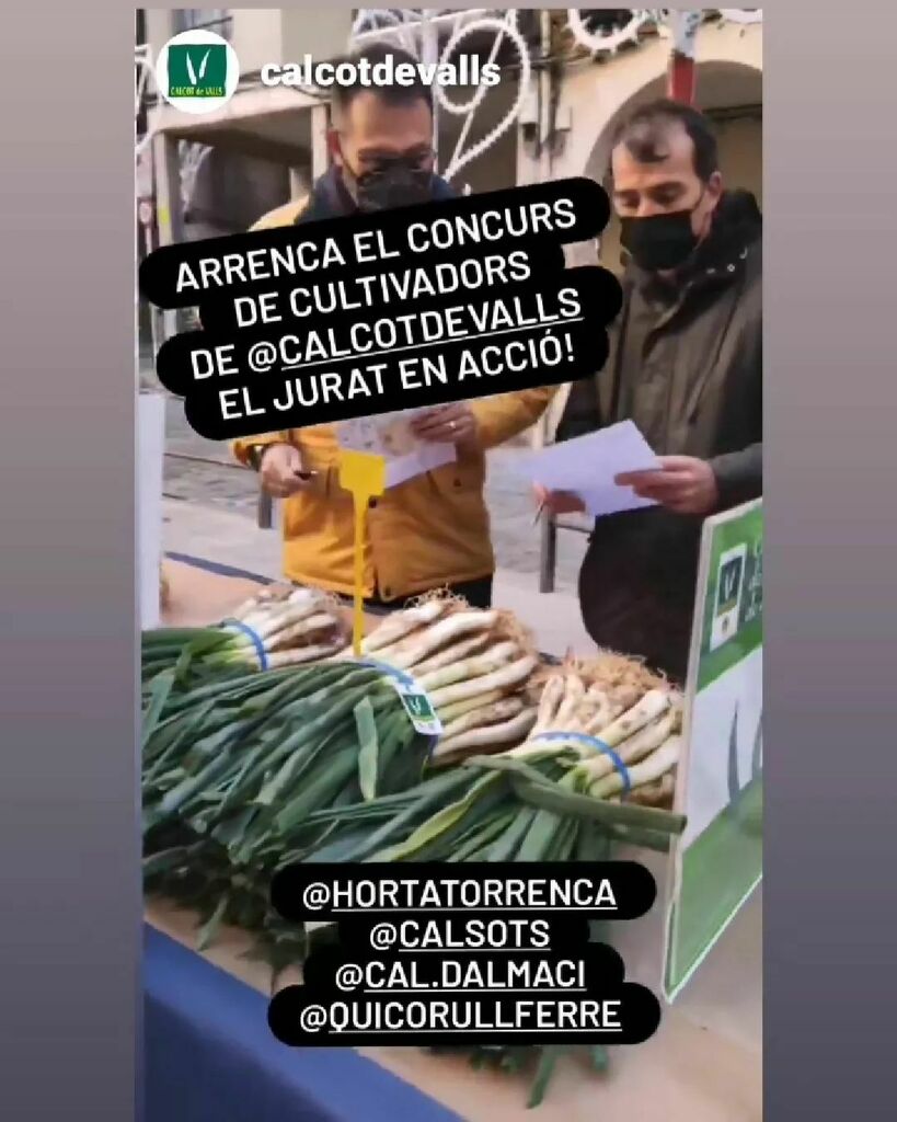 Fiesta de la calçotada de Valls.
.
.
.
#calsots #calçots #calçotsdevalls #calçotsexperience #temporadadecalçots #findelatemporada #calçotsadomicilio #productosdetemporada #aporlasiguiente#productoafrescos #photocalsots #calçotadaacasa #calsotsencasa