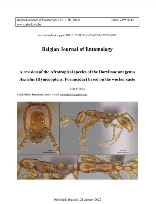 Kiko Gómez tweet media