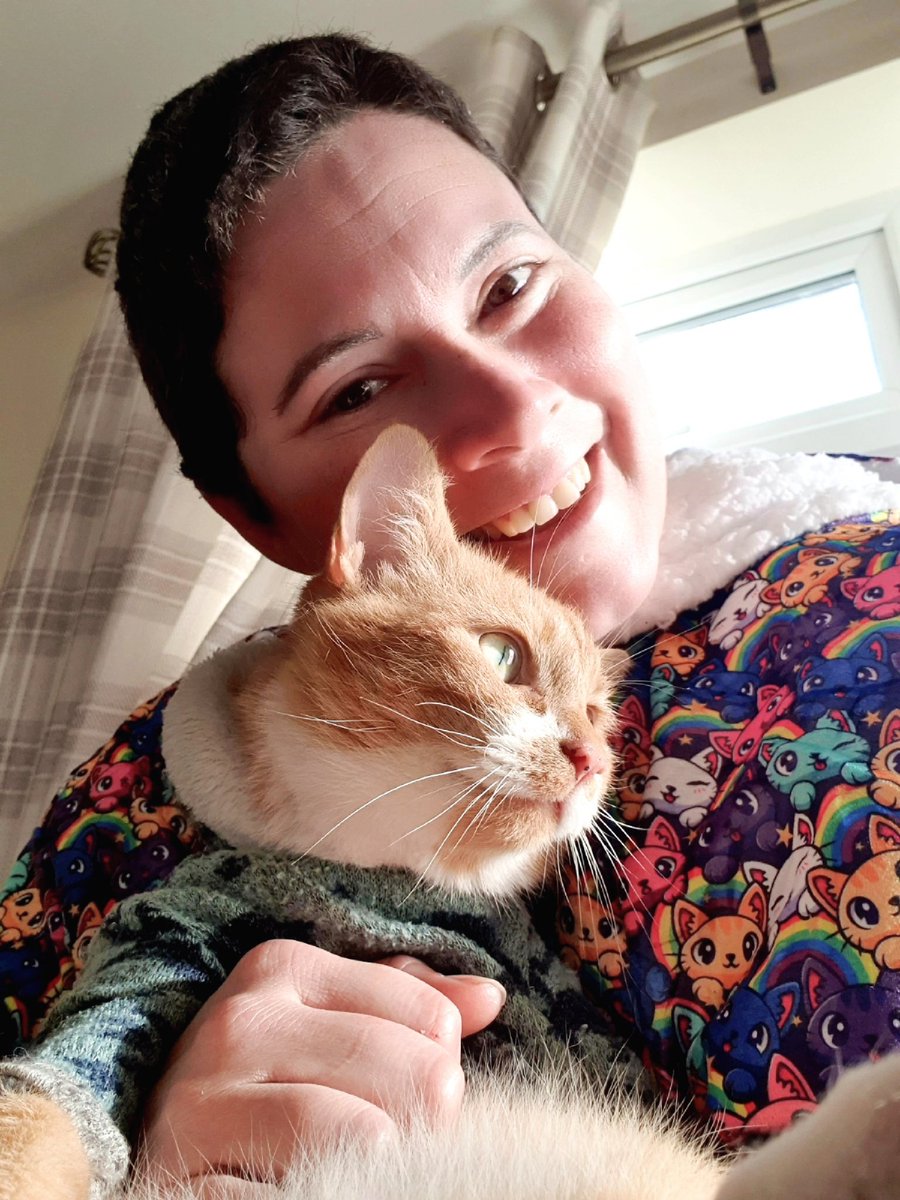 MogmansWardrobe's tweet photo. Lady Human's hoodie has arrived, and it is the most amazing thing EVER! I most definitely approve of this fashion statement, even if it is quite little "loud"! It is so snuggly and warm, I think I may claim it as my new bed! 

#CatsOfTwitter #CatsOnTwitter #hoodie #fashion #cats https://t.co/GTCLOMhyVg