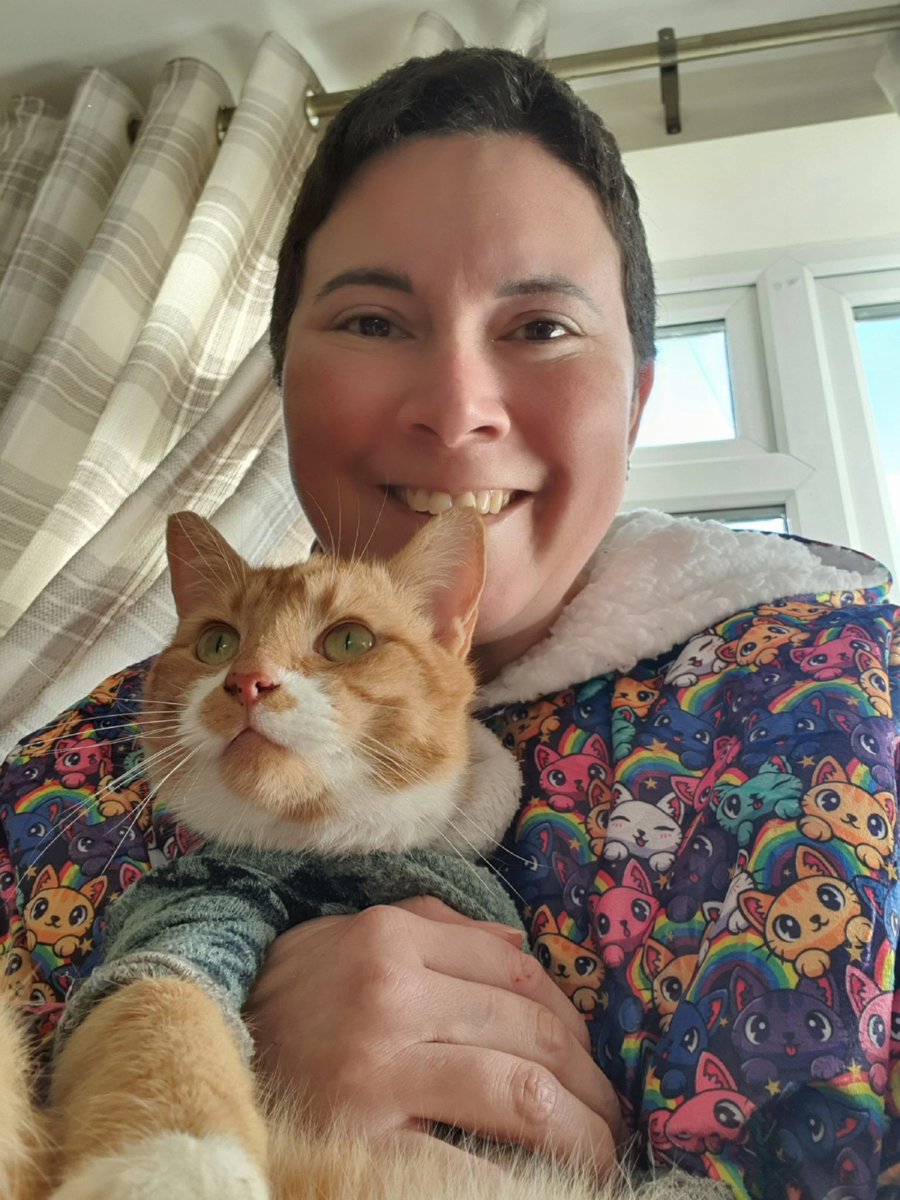 MogmansWardrobe's tweet photo. Lady Human's hoodie has arrived, and it is the most amazing thing EVER! I most definitely approve of this fashion statement, even if it is quite little "loud"! It is so snuggly and warm, I think I may claim it as my new bed! 

#CatsOfTwitter #CatsOnTwitter #hoodie #fashion #cats https://t.co/GTCLOMhyVg
