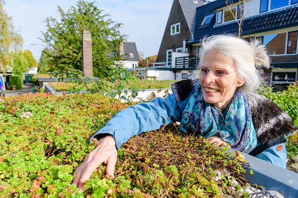 Er is weer subsidie beschikbaar voor het samen met minimaal 7 buren aanleggen van #sedum op je dak of het #afkoppelen van je regenwater:

hdsr.nl/werk/subsidier…

#duurzaamheid #zeist #daktuin #groendak