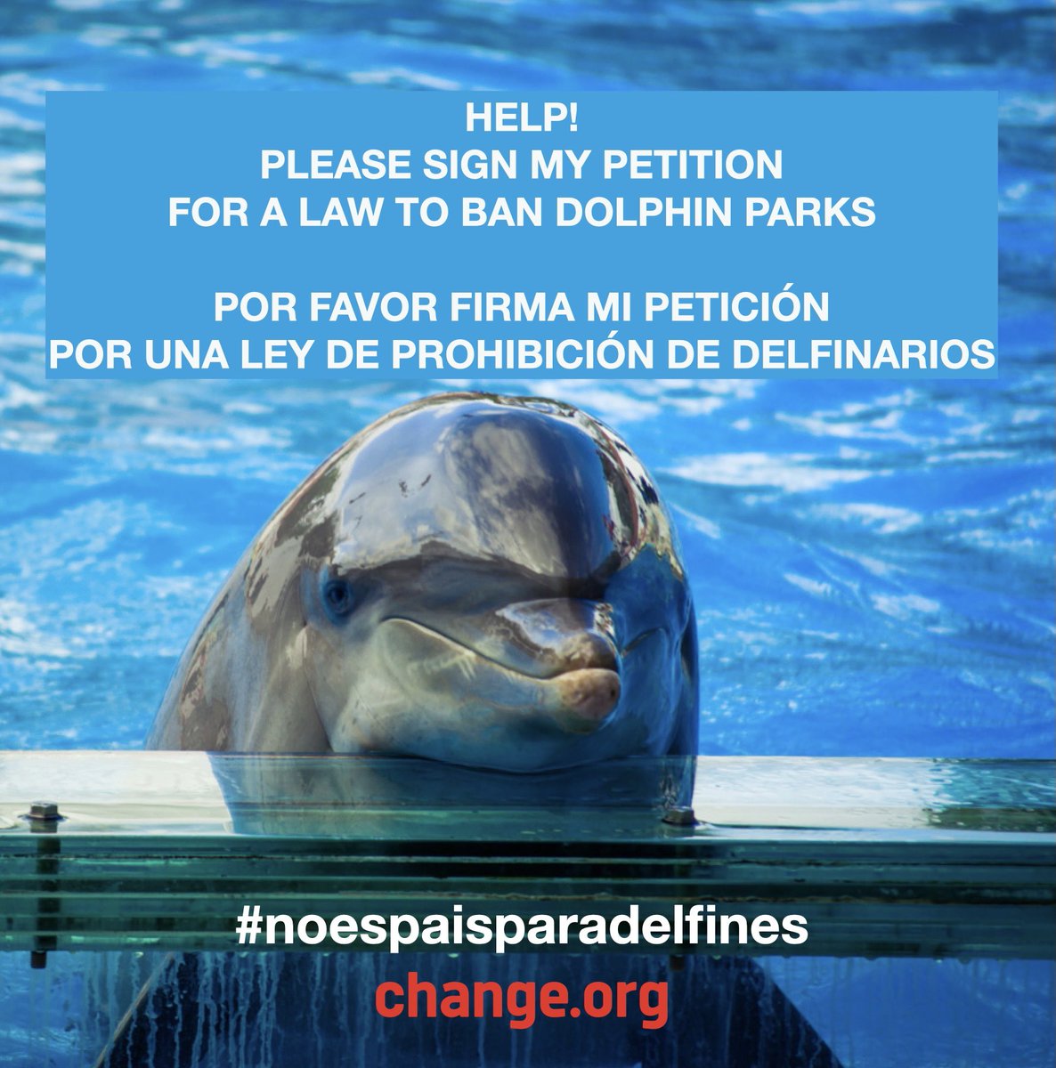 For the end of dolphin parks in our country #noesPaísparaDelfines
Please sign #EmptyTheTanks 
✍✍✍✍✍✍✍✍✍✍🆘️🆘️🆘️🆘️

change.org/p/for-the-end-…