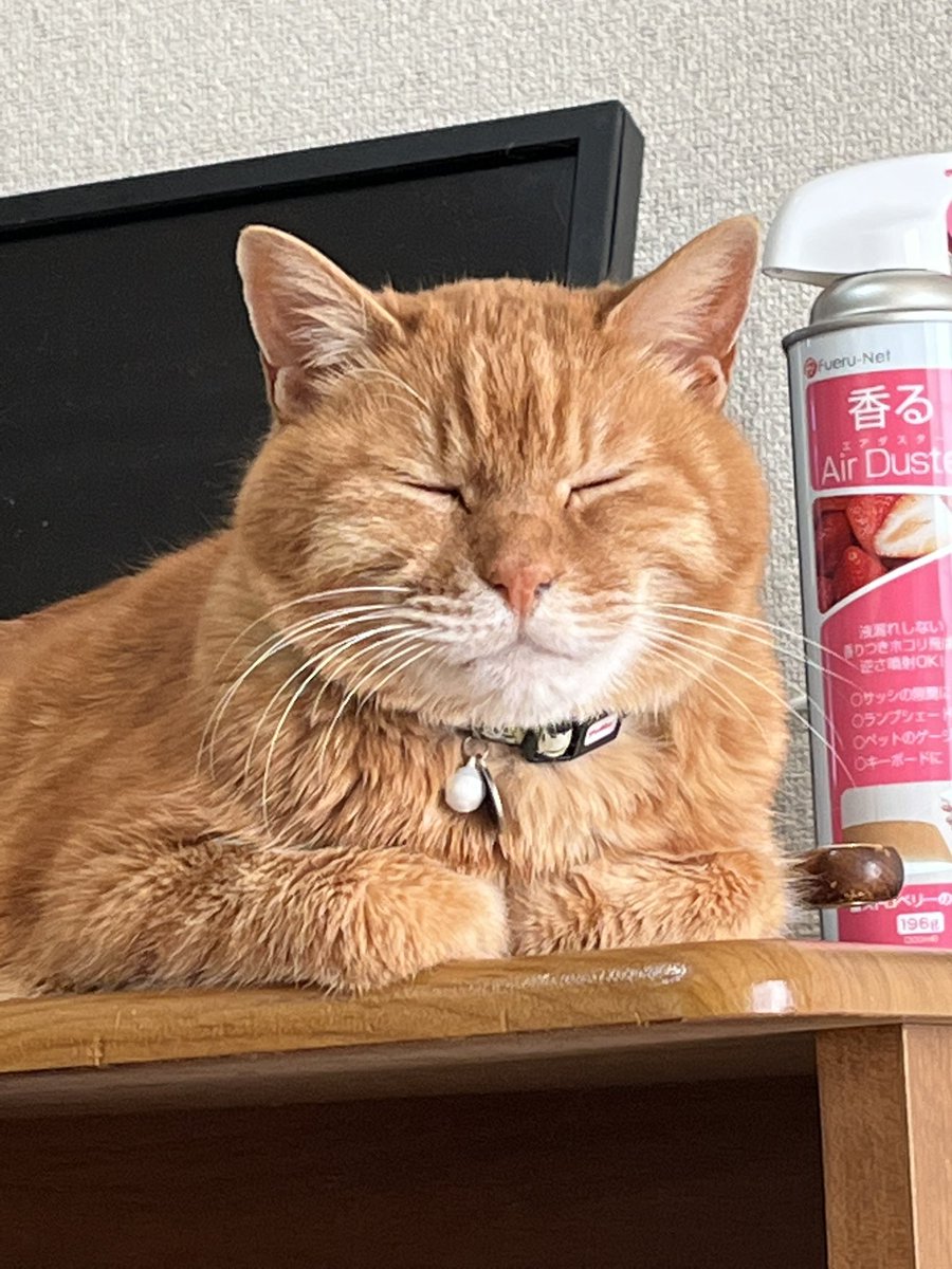 拝むと福が訪れます🙏