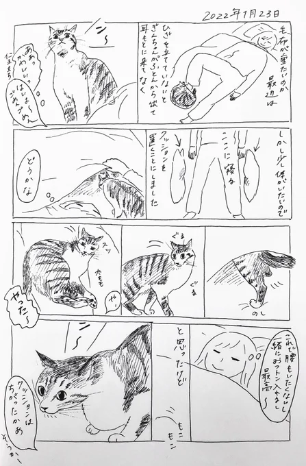 2022/1/23のぎんちゃん #今日のぎんちゃん 
