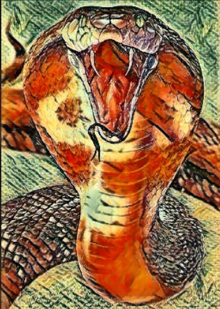 Cobraofficial7's tweet photo. my NFT photo pls buy🐍😍 https://t.co/Xd9asiUQuW