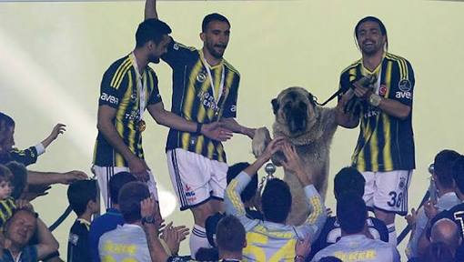 #scübütonline Bütler için geldiğim gün erteleme kararı, arkadaşlarım moral vermeye çalışıyor.