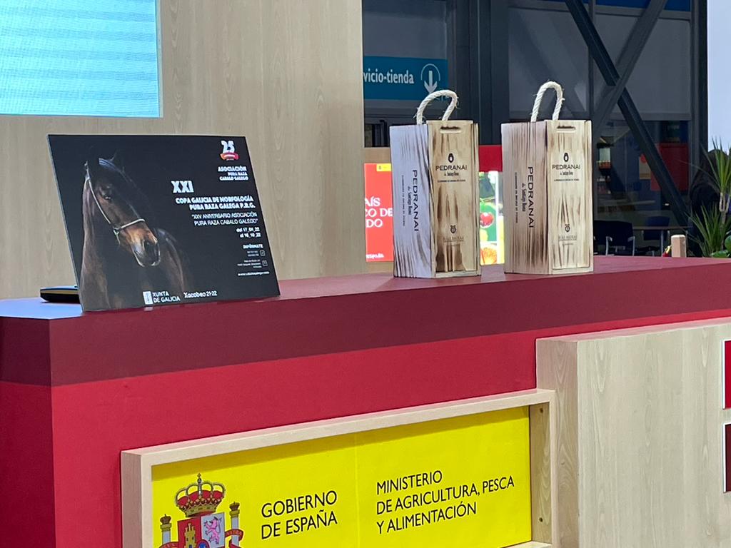 <a href="/BodegaRoma/">BODEGA SANTIAGO ROMA</a>