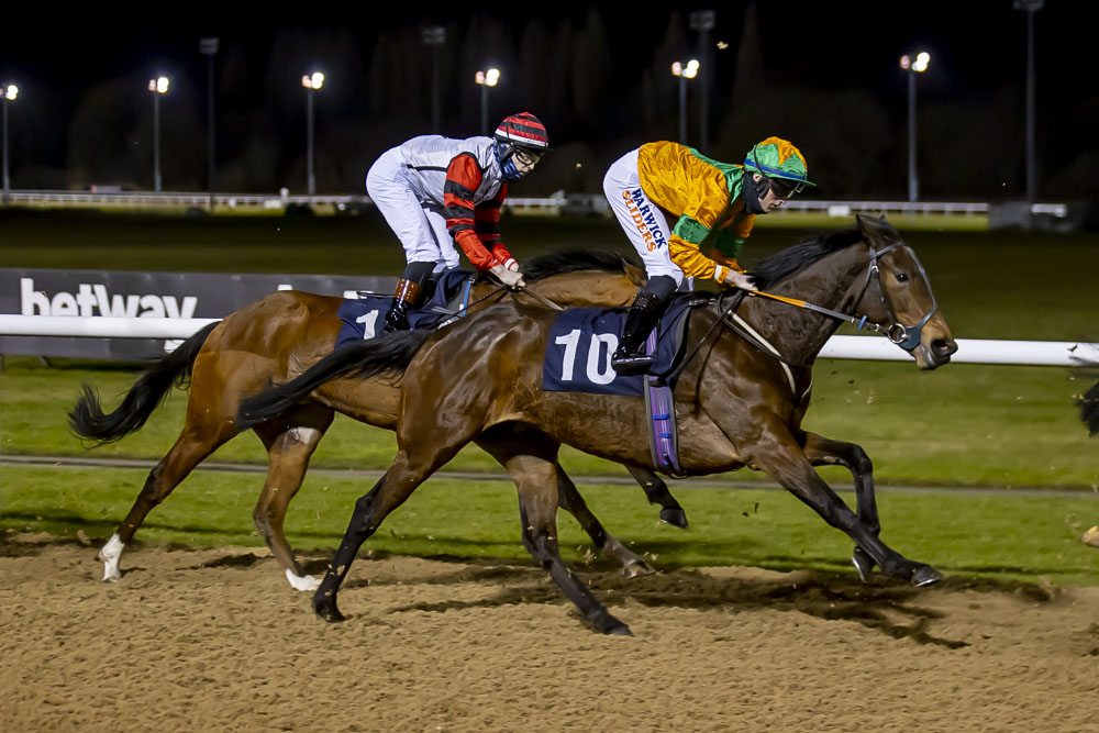 JoePacket2's tweet image. My lovely Rita - so. close at Wolves yesterday.  Next time!  😃