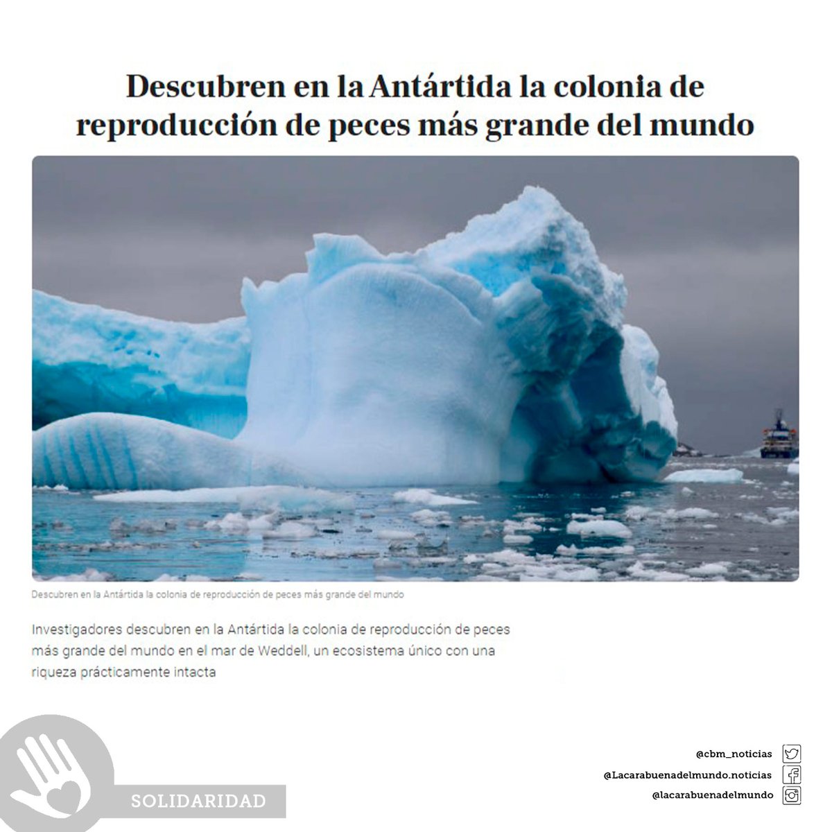 Helpncare tweet media