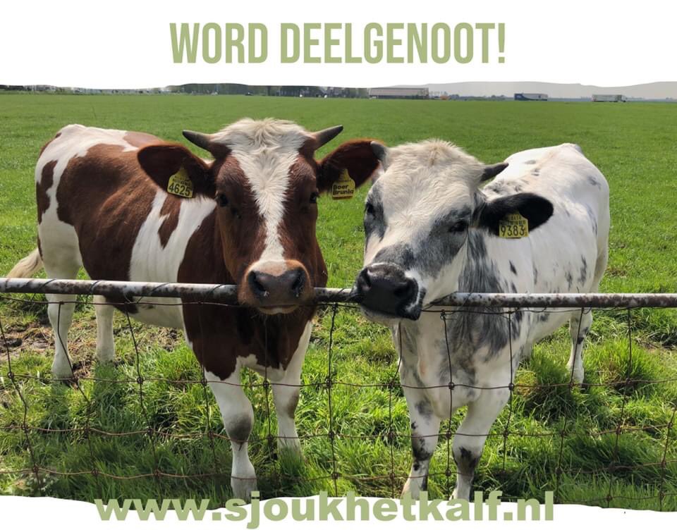 Dankbaar!
Eerste deler, drager, luisteraar, mogelijk maker ‘de laatste 9 maanden #Sjouk’ is #deelgenoot geworden.

❤️
sjoukhetkalf.nl
