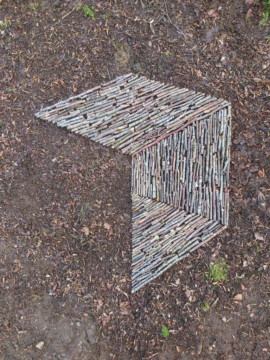 TimPughArtist's tweet photo. Cube perspective experiment #ramsgillwood #westcumbria #twigs https://t.co/WjdwhBzy3Q