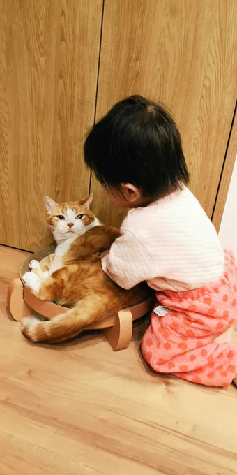 娘が1歳くらいの時もたくさん遊んでくれた愛猫、息子ともたくさん遊んでくれる(';ω;`)ゴロゴロ甘えてくれる、優しい 
