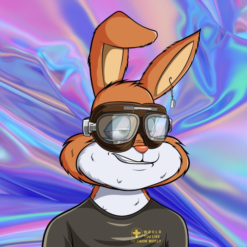 Roughneck Rabbits - MINTING NOW tweet media