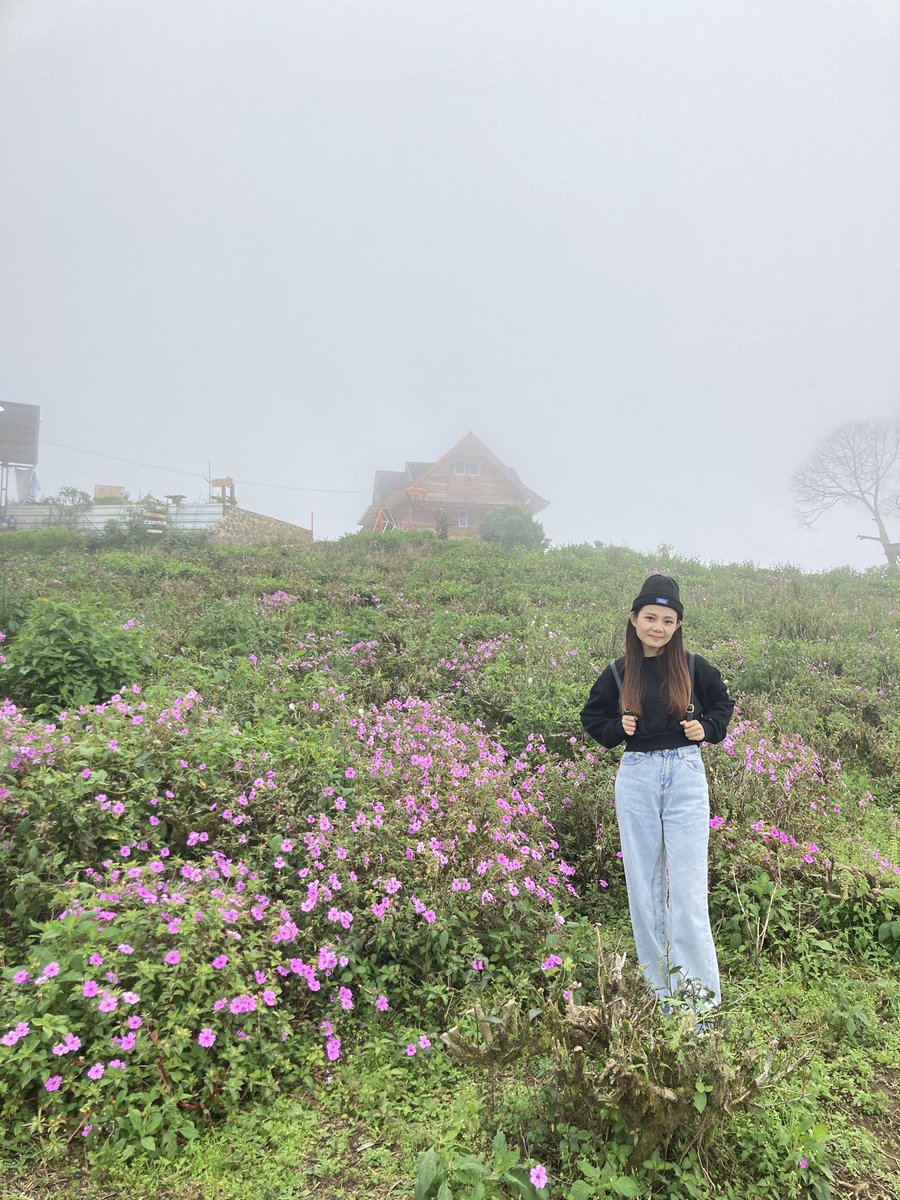GabrielaBells's tweet photo. 🍃 https://t.co/8mQBrRCfnZ