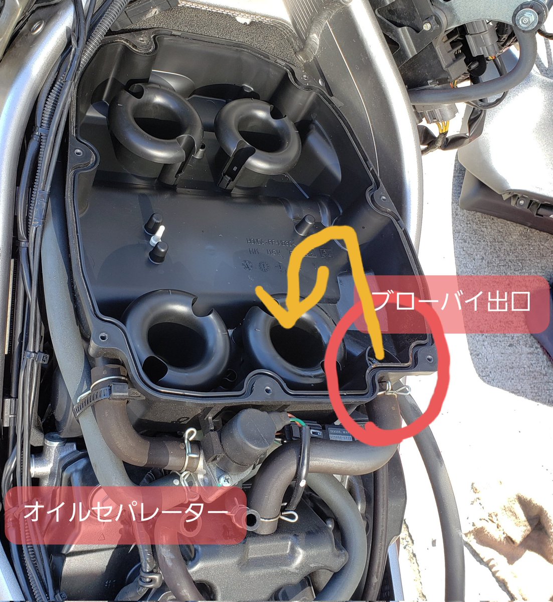 PrototypePJT's tweet photo. オイルセパレータが小さく、かなりウエットなブローバイがエアクリケースに流れてるようです。
また、出口の位置が良くなくオイルミストタップリのガスをほぼ右後シリンダが吸っているようでプラグがここだけかなり真っ黒でした。
プラグ替えたらめっちゃ調子いいぞ！
#VFR800X 
#VFR800F https://t.co/NK9aN9ptSS