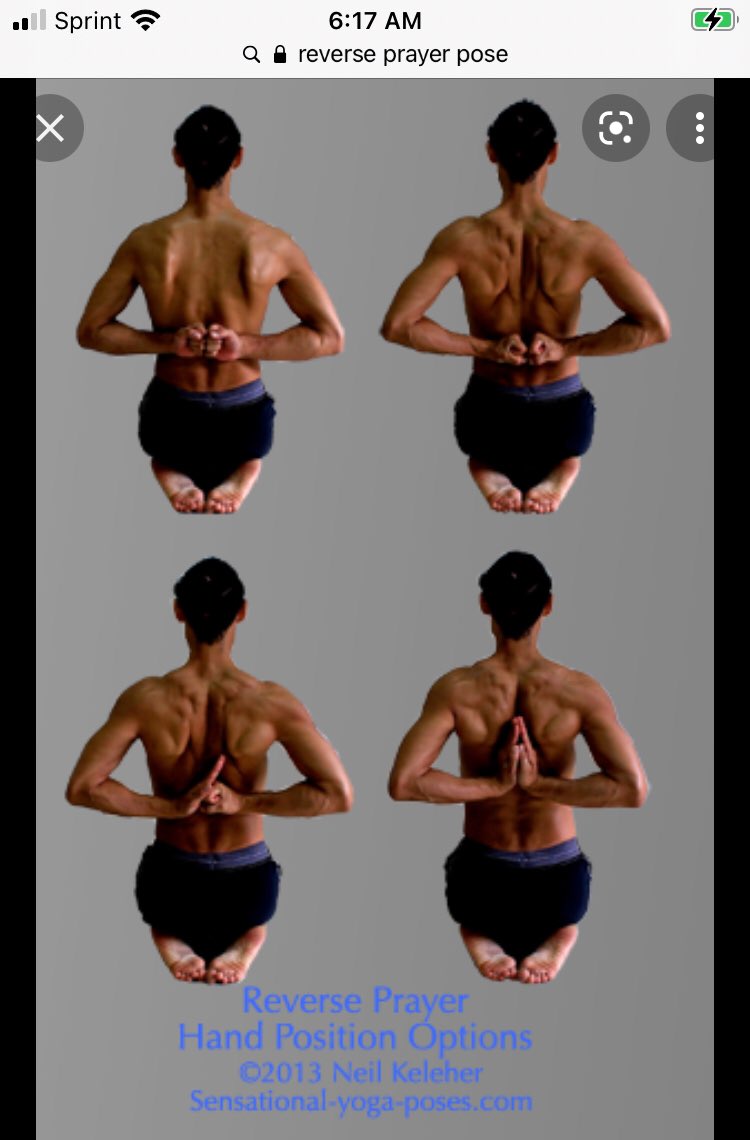 wbzlight's tweet photo. Next Yoga pose I’m learning! https://t.co/nRpRjqnYeV