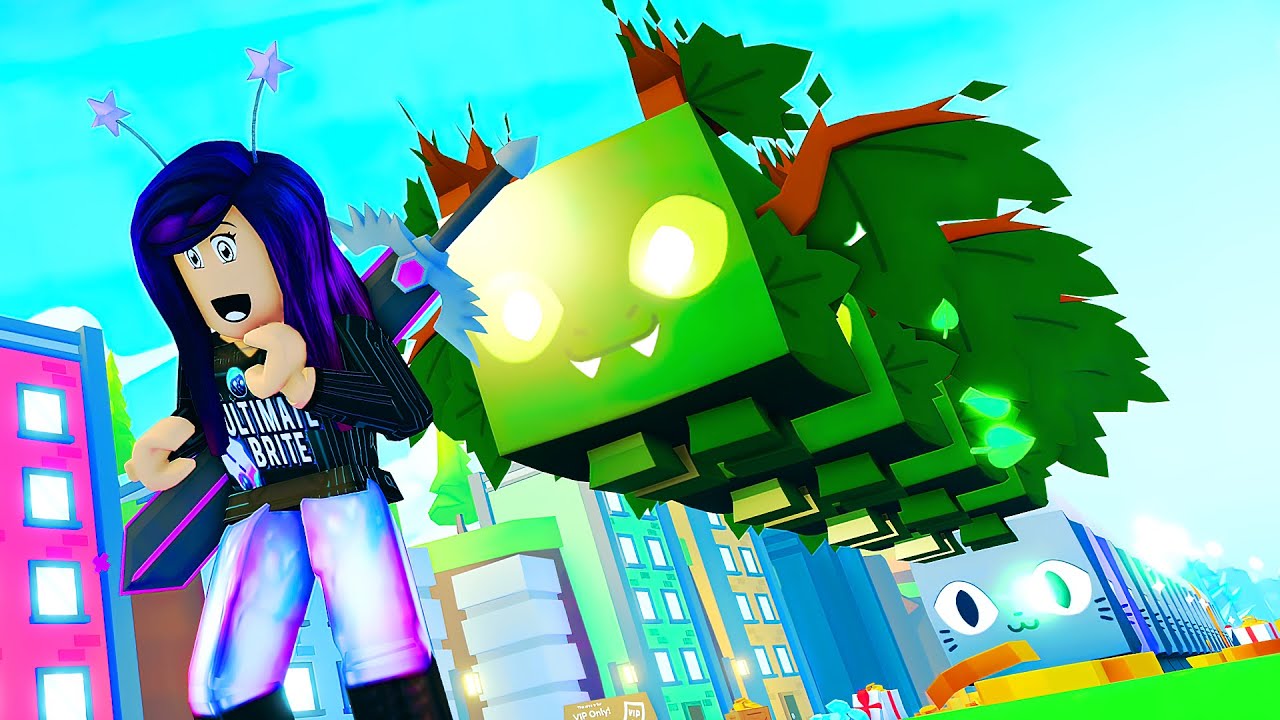 TeraBrite Games on Twitter "DJ Secretly SPENT MY ROBUX for HUGE PETS