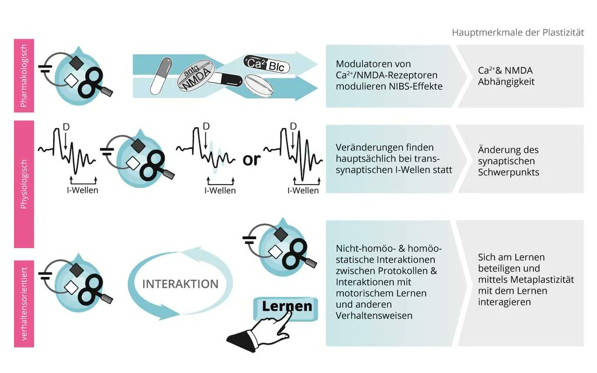 NPZ_HH's tweet photo. Bekannte Anwendungen nicht-invasiver #Hirnstimulation. Um Funktionen von #Nervenzellen zu beeinflussen, wird immer auf die Interaktion mehrerer Zellen eingewirkt. Alle Ansätze sollen Zellen in Konnektionen verändern und damit Belastungen oder Leiden reduzieren. Nach Huang (2017) https://t.co/7AVP4Aw6Jn