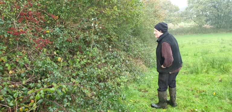 FarmersOfTheUK's tweet photo. Elfyn and Rhian Davies, organic dairy farmers from Glancynin Farm, Saint Clears achieved @PastureForLife certification in 2021 👏 They are champions of traditionally managed hedgerows and all the benefits that they provide for wildlife, the landscape and their cattle. https://t.co/yL5a7pZRga