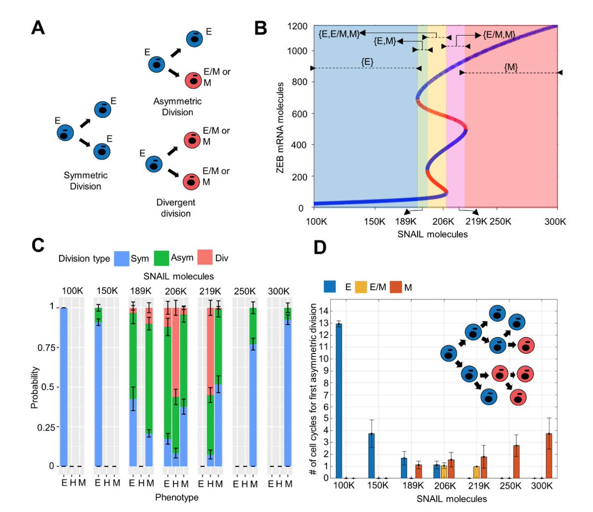 Mohit Kumar Jolly tweet media
